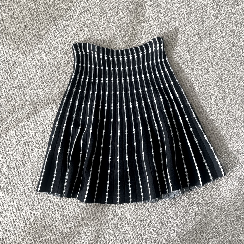 Max Studio Skirt